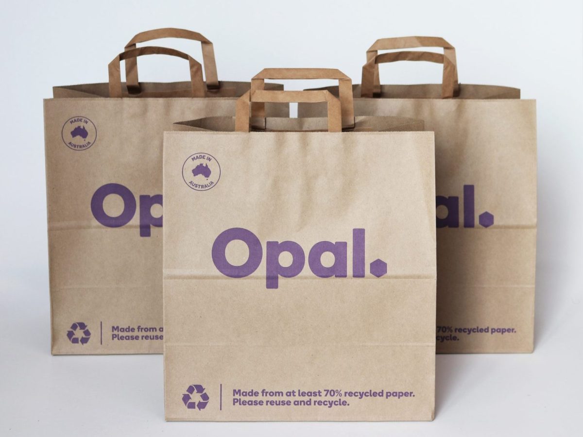 4# 100 % Recycled Paper Exit Bag – 500 Ct - P3 Distributing
